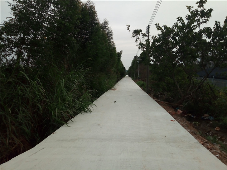 P81211-164351.jpg