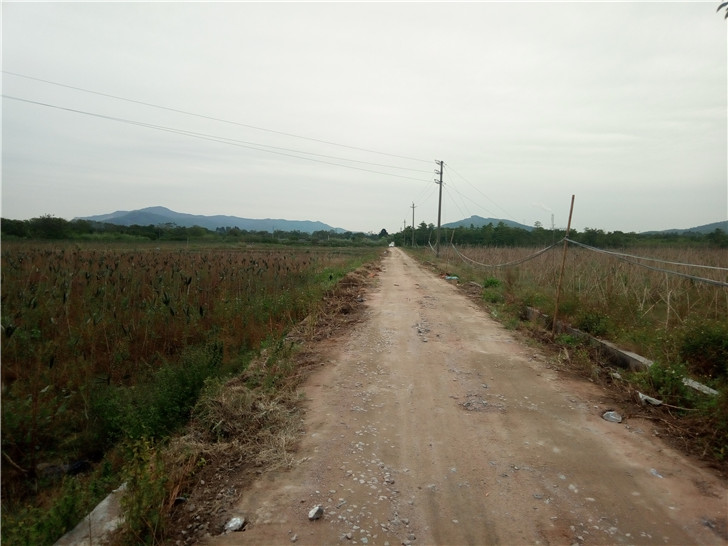 P81211-165217.jpg