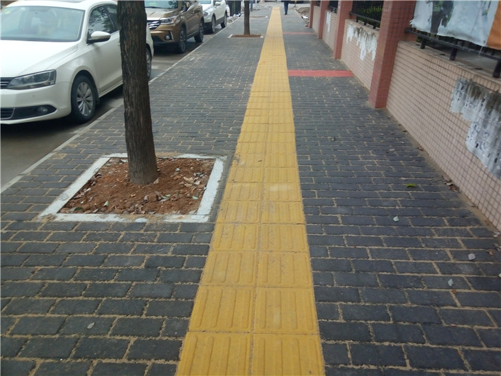 P81212-103952.jpg