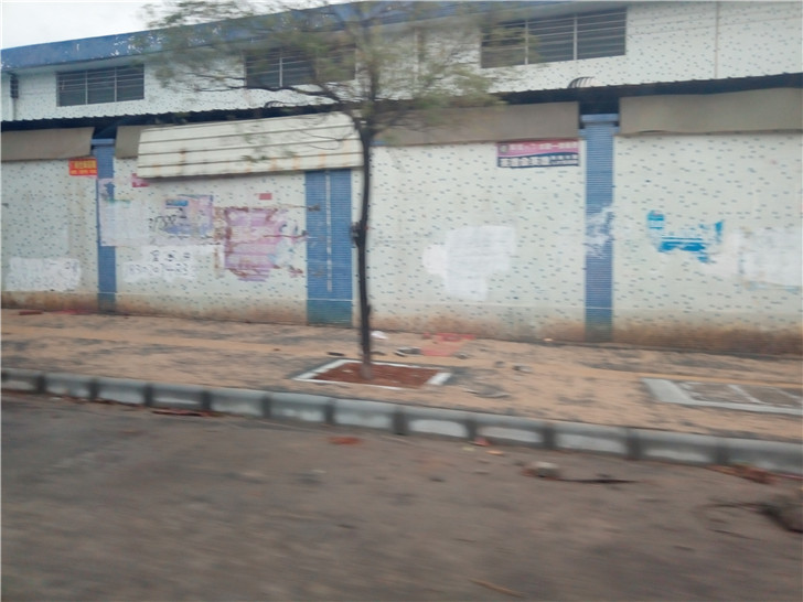 P81212-110016.jpg