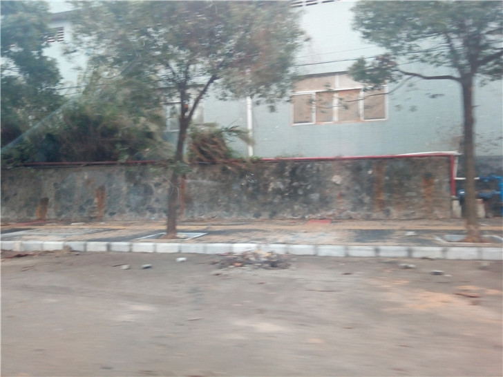 P81212-110042.jpg